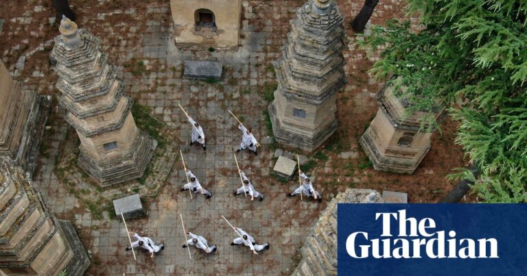 Chinese China 'Treasures in a Popular Responsible Residents | Dish 6 4310