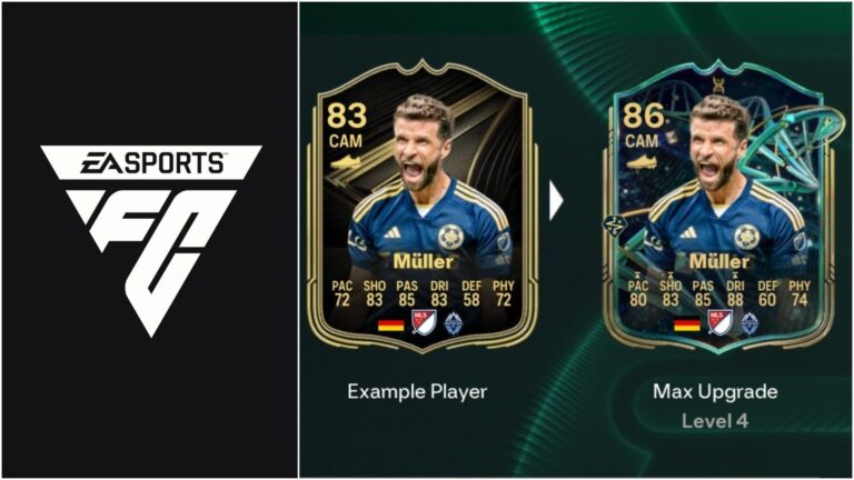 2993c 17620246677134 1920