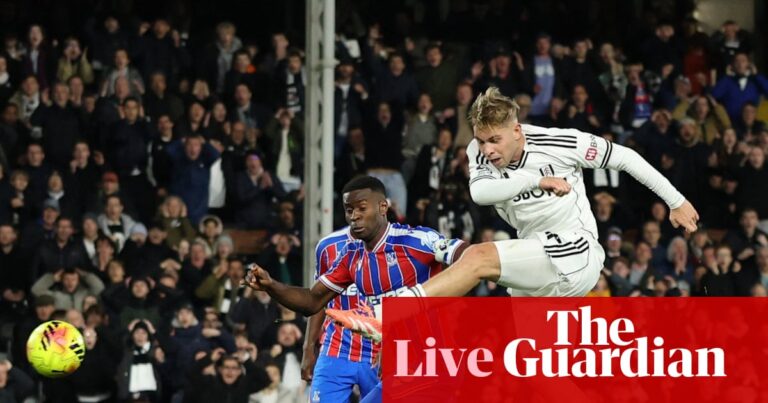 Full Fur Crystal Palace: Premier League - Live and Live | Premier League 7 1649