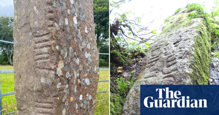 Linguists Getting Started Making First Reading A Dictionary of Ancient Celtic | Language 5 1765174062 5000