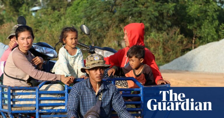 Fareal Thailand-Cambodia Potatoes spread over the habitat | Thailand 5 4388